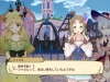 nelke-11