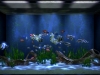 WiiU_AquaTV_screen_01