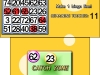 3DS_BingoCollection_screen_01