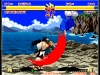 Switch_ACANEOGEOSAMURAISHODOWN_screen_01