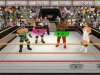 Switch_WrestlingEmpire_Screenshot_(1)