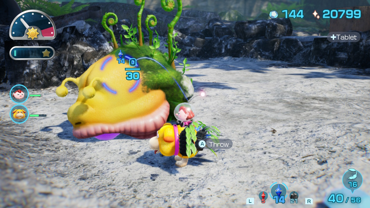 pikmin 4 ice onion location