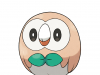 Pokemon_Legends_Arceus_art_Main_Rowlet_Brindibou_Bauz