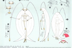 pokemon-sun-moon-ultra-beasts-ca-3