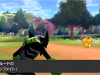 pokemon-sword-shield-zarude-3