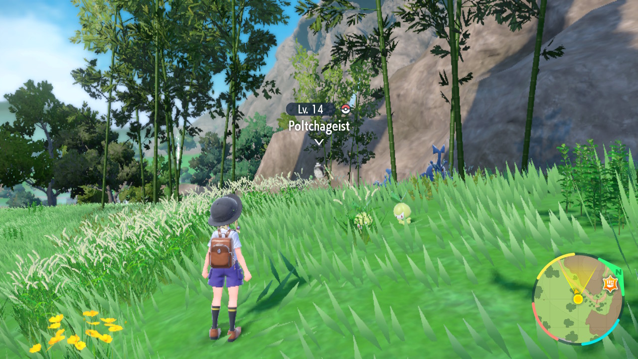 Pokemon Scarlet Violet Poltchageist location