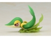 rosa-snivy-8