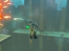 Switch_ZeldaBotW_E3-2017_SCRN_07