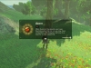 zelda-breath-wild-gathering-2
