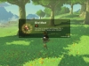 zelda-breath-wild-gathering-3