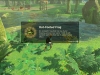 zelda-breath-wild-gathering-4