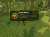 zelda-breath-wild-gathering-6